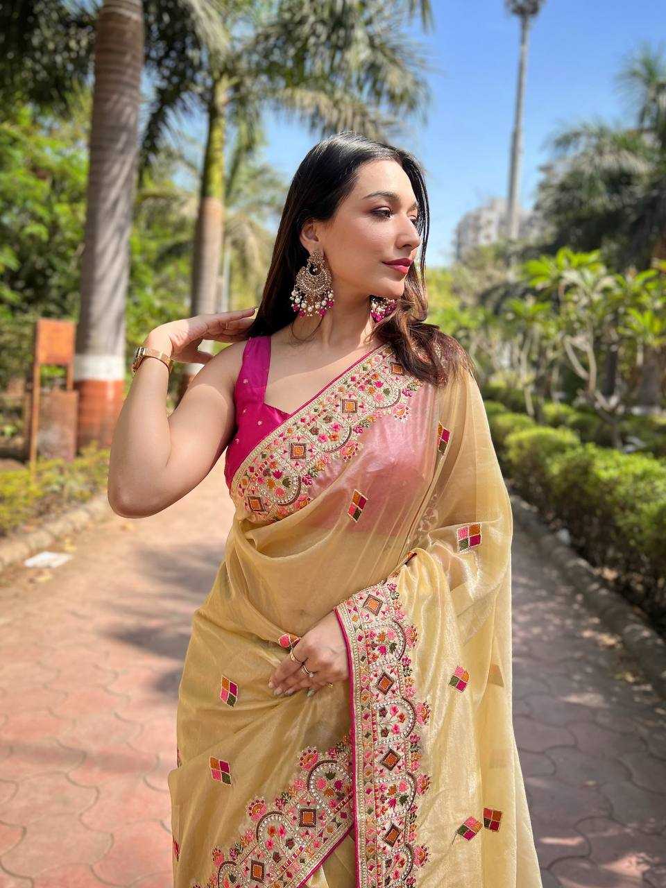 Twill Net  Embroidered Lace Border Stone Work Zari Saree